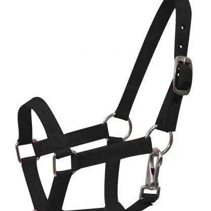 Nylon halter with nickel plated hardware and throat latch. Mini size. Horse