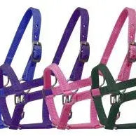 Nylon halter with nickel plated hardware and throat latch. Mini size. Horse