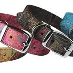 Paisley Patterned Collars Dog