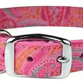 Paisley Patterned Collars Dog