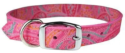 Paisley Patterned Collars Dog