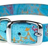 Paisley Patterned Collars Dog