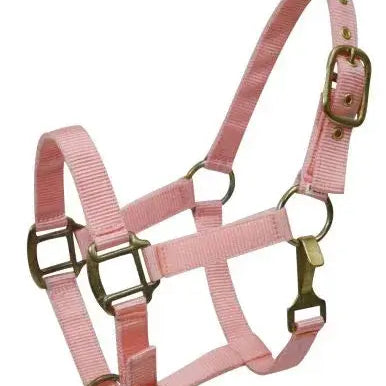 Pony size nylon halter is constructed of triple ply nylon with brass hardware Horse