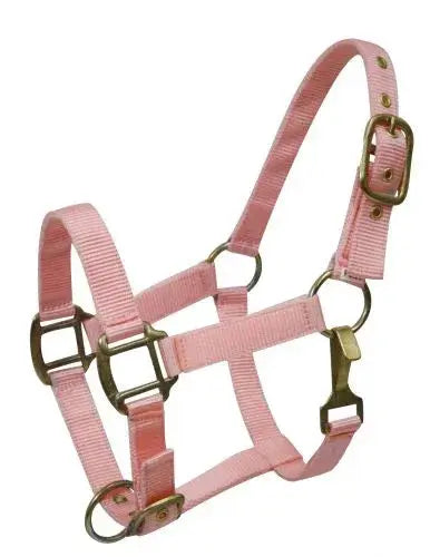 Pony size nylon halter is constructed of triple ply nylon with brass hardware Horse