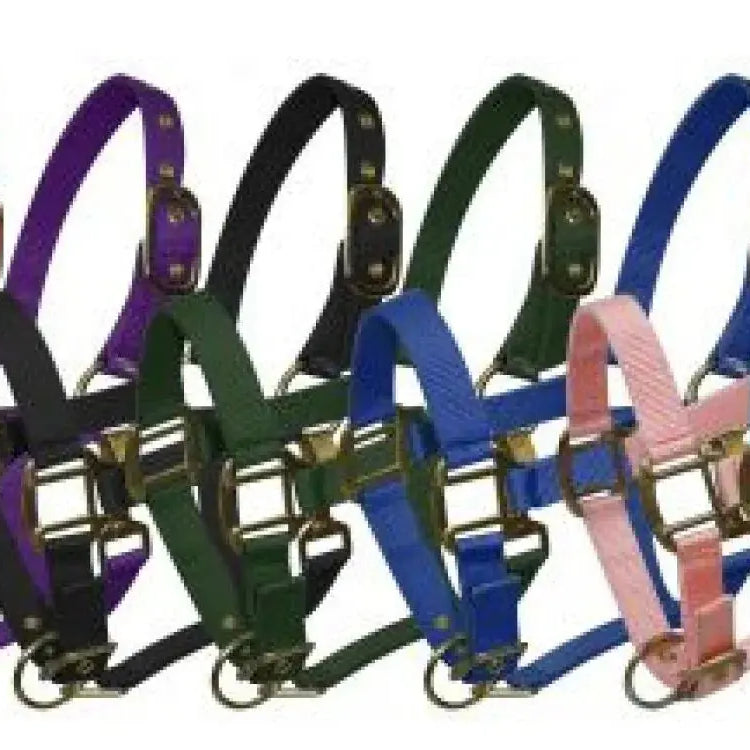 Pony size nylon halter is constructed of triple ply nylon with brass hardware Horse