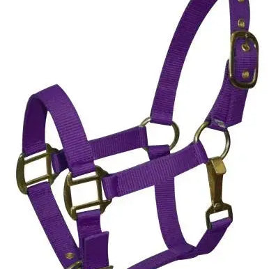 Pony size nylon halter is constructed of triple ply nylon with brass hardware Horse