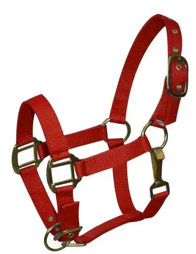 Pony size nylon halter is constructed of triple ply nylon with brass hardware Horse