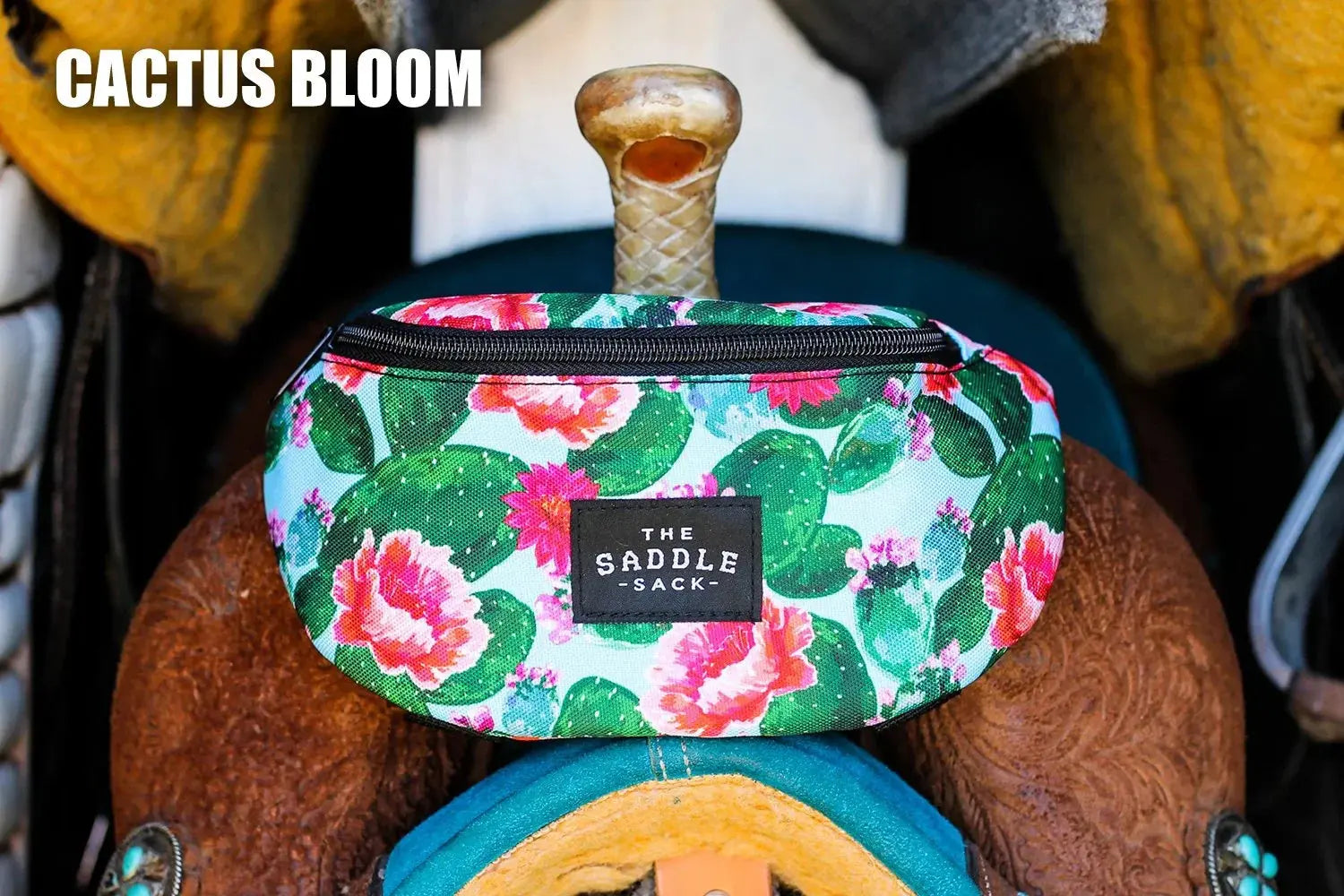 The Saddle Sack Horse