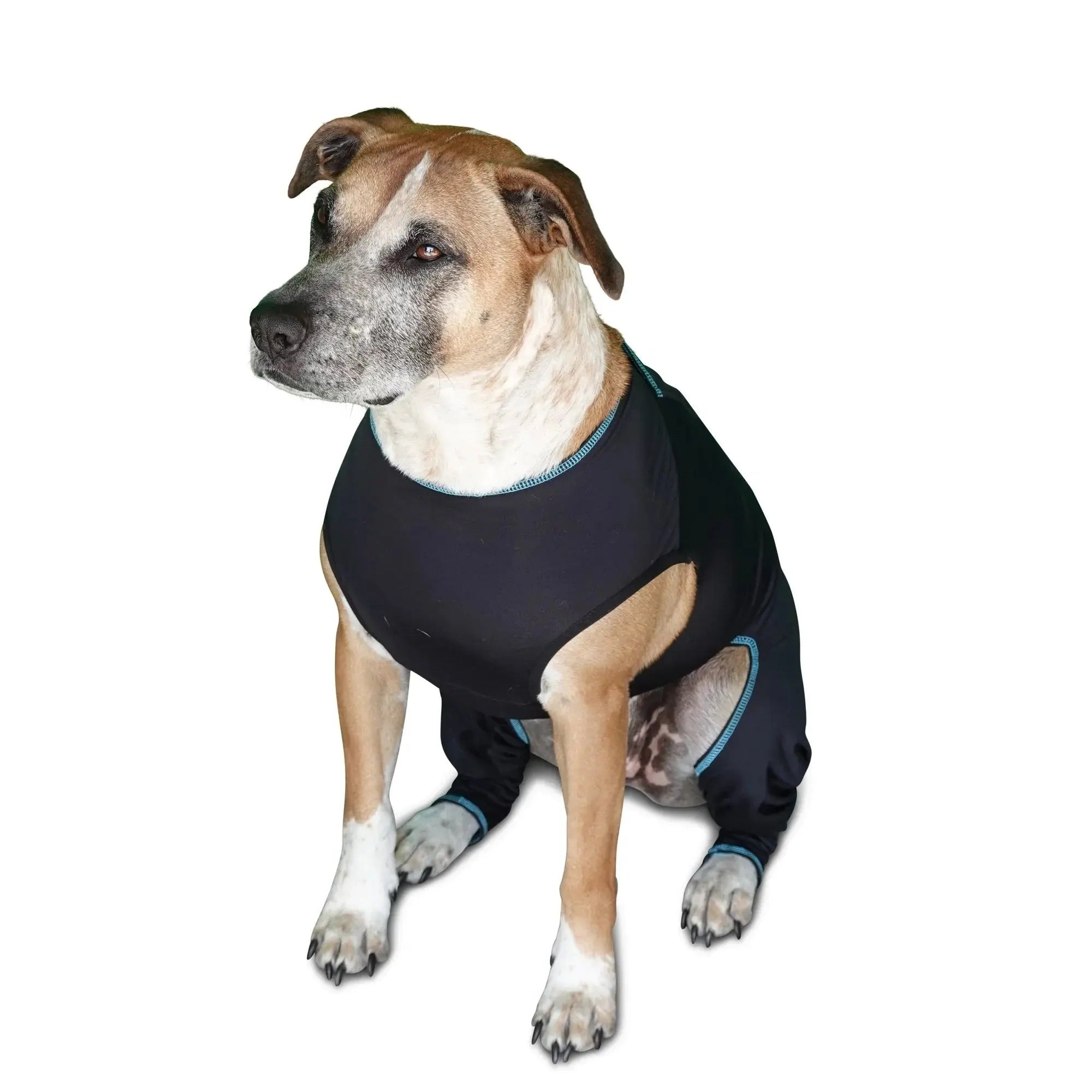 Benefab Canine Comfort Suit Dog