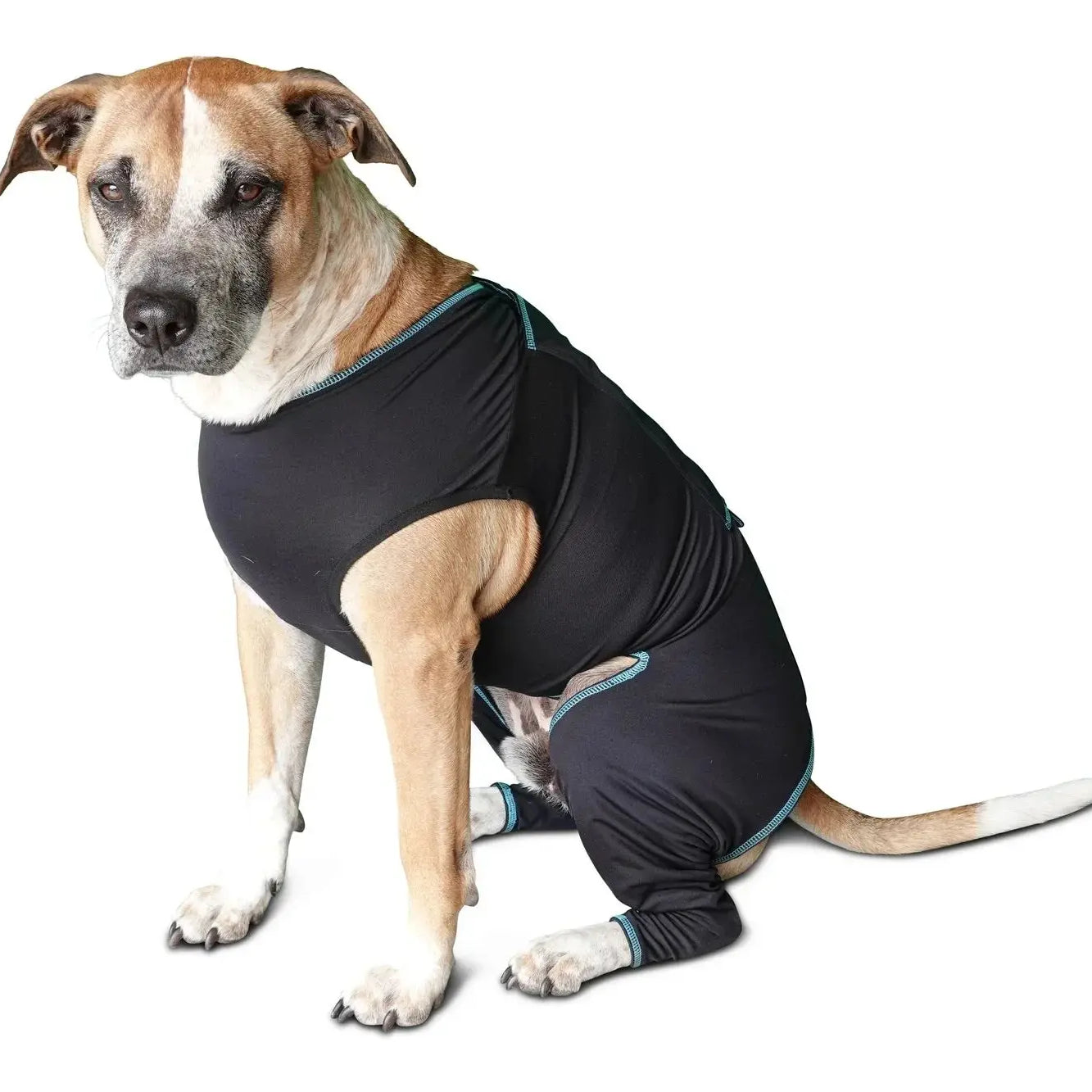 Benefab Canine Comfort Suit Dog