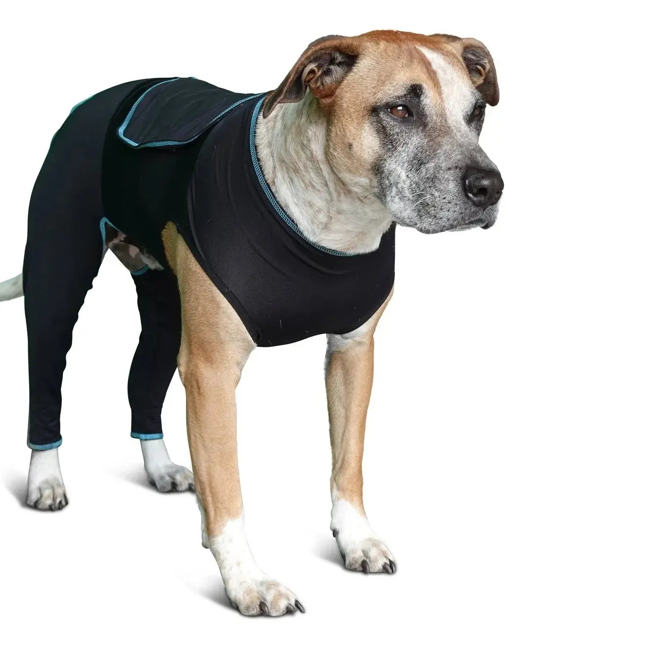 Benefab Canine Comfort Suit Dog
