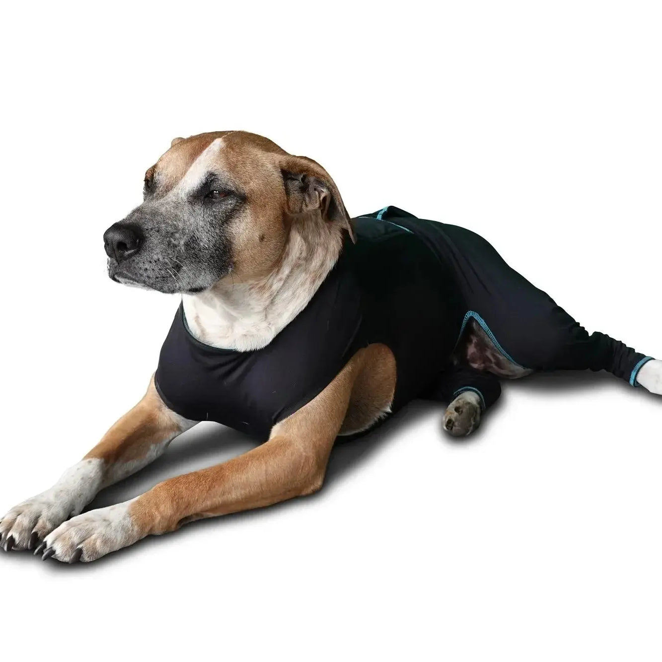 Benefab Canine Comfort Suit Dog