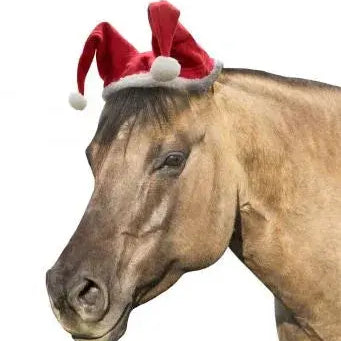 Horse Sized Santa Hat. Measures 12.5" x 18" Horse Tack