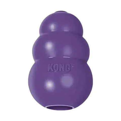 Kong Senior Dog