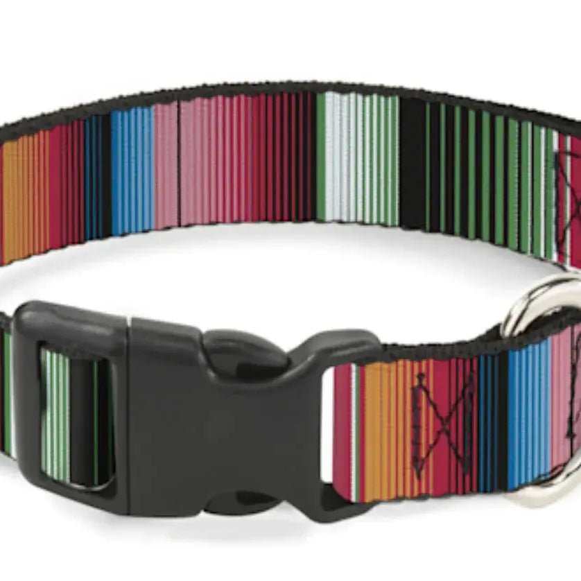 Buckle-Down Plastic Clip Collar Zarape Vertical Multi Color Stripe Dog