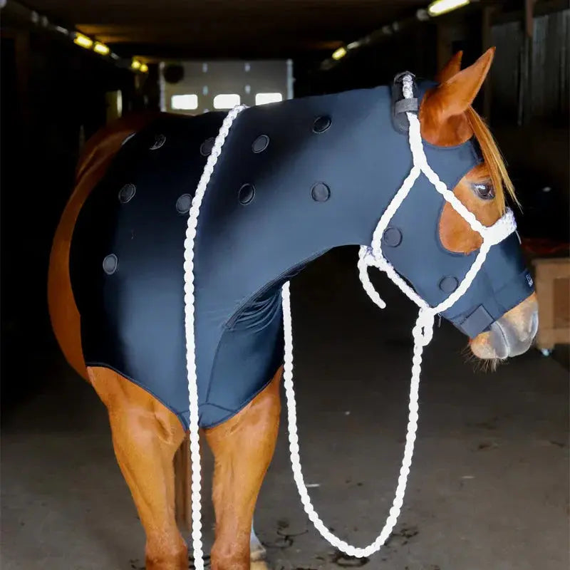 BeneFab Rejuvenate Smarthood - Large, Medium, XL