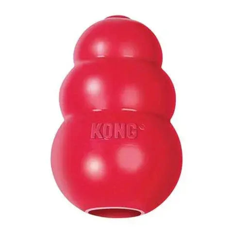 Red Kong Classic dog toy with glossy durable rubber surface