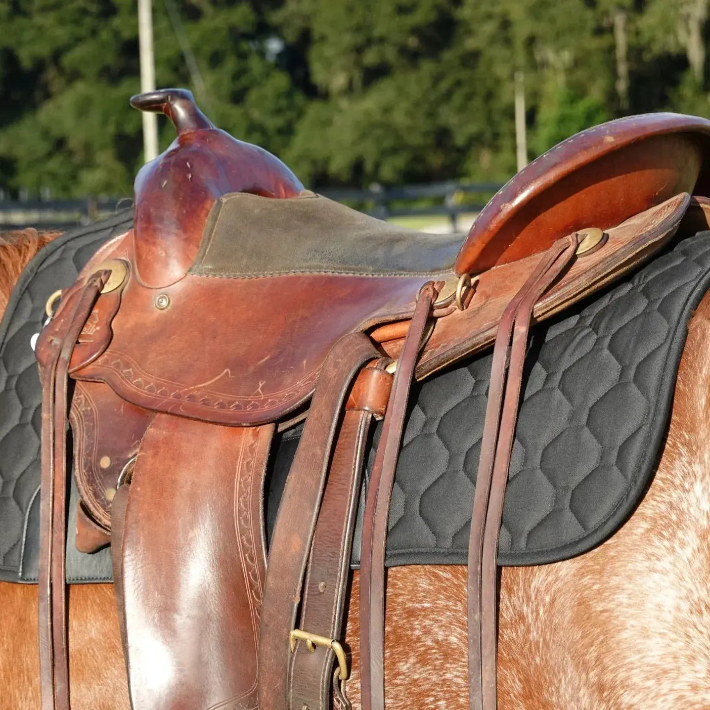 *NEW* Benefab THERAPEUTIC WESTERN PAD-Black Horse