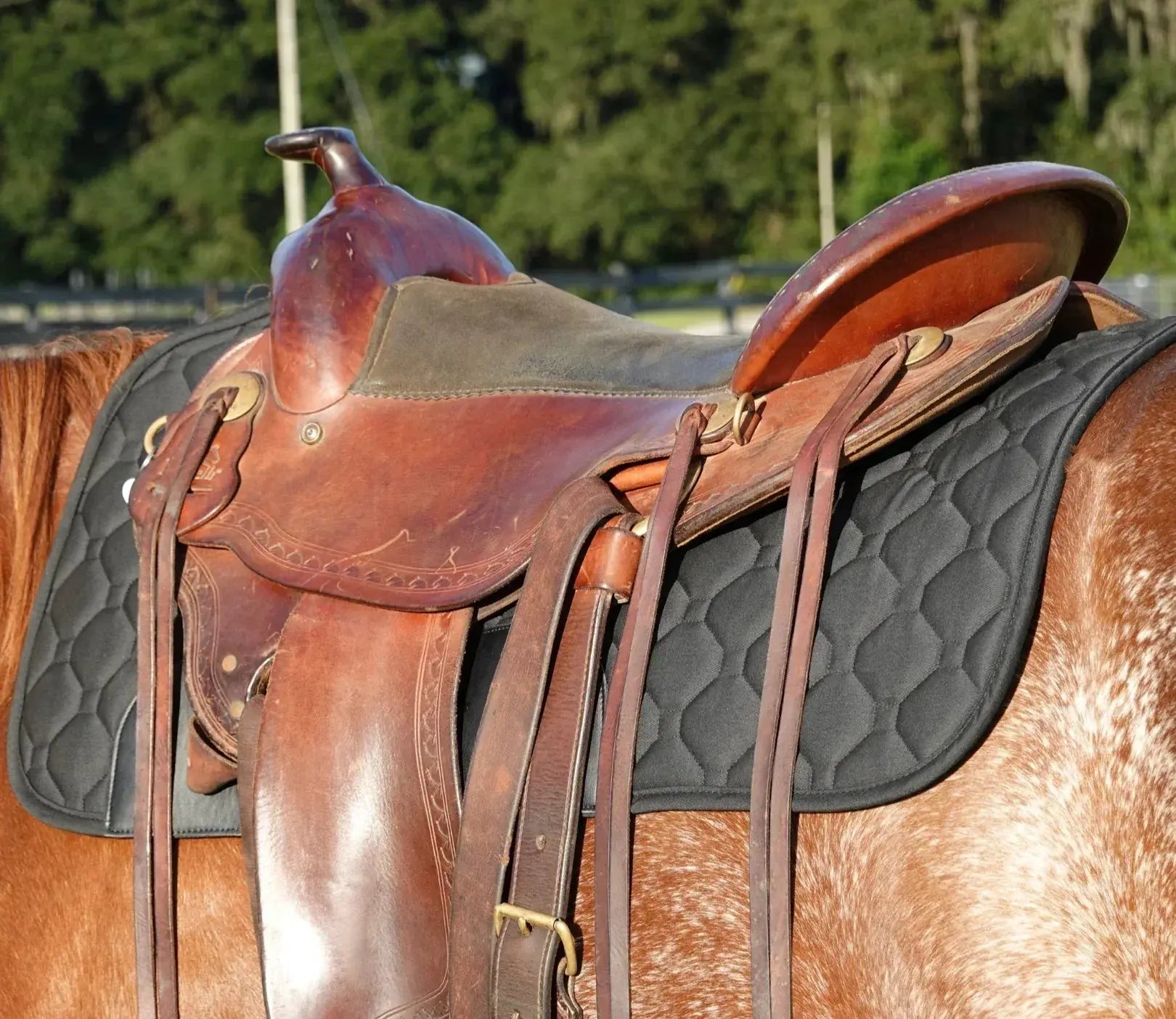 Brown leather western saddle on new Benefab Therapeutic Western Pad-Black