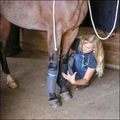 BeneFab Therapeutic VersiWraps 12",14",16" Horse