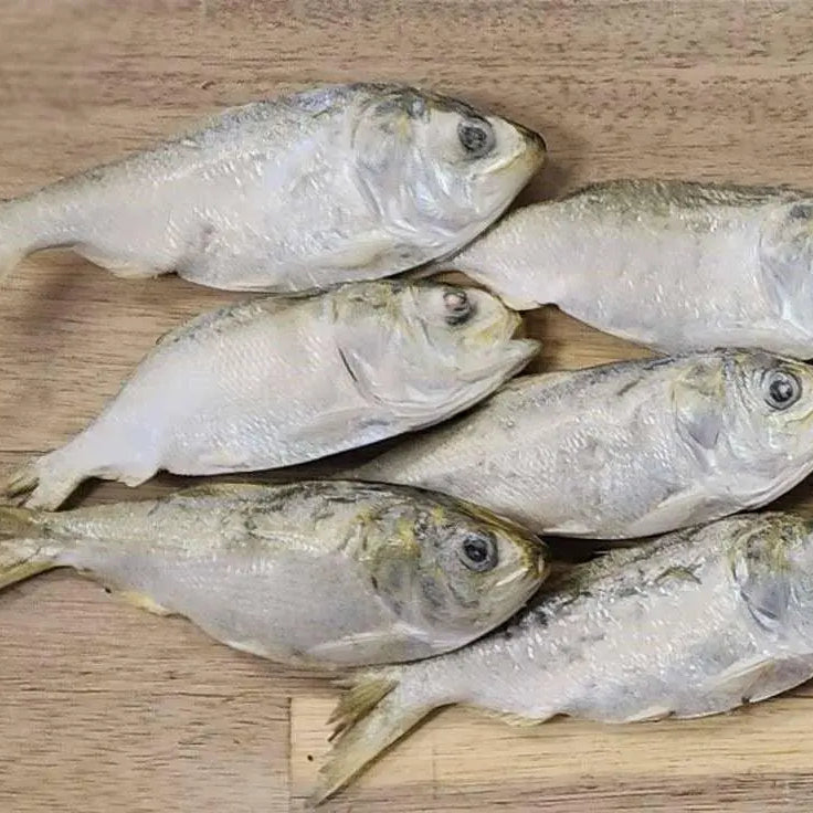 Six freeze-dried menhaden small with yellow-tinted fins on wood