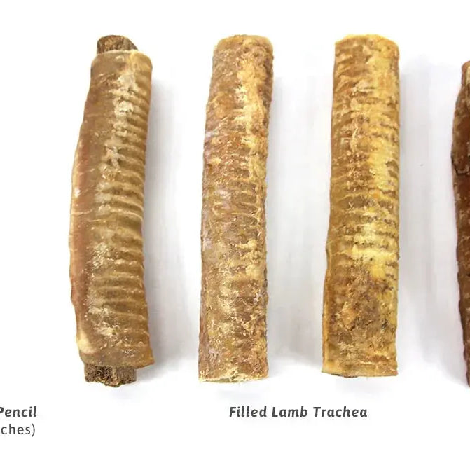 Filled Lamb Trachea