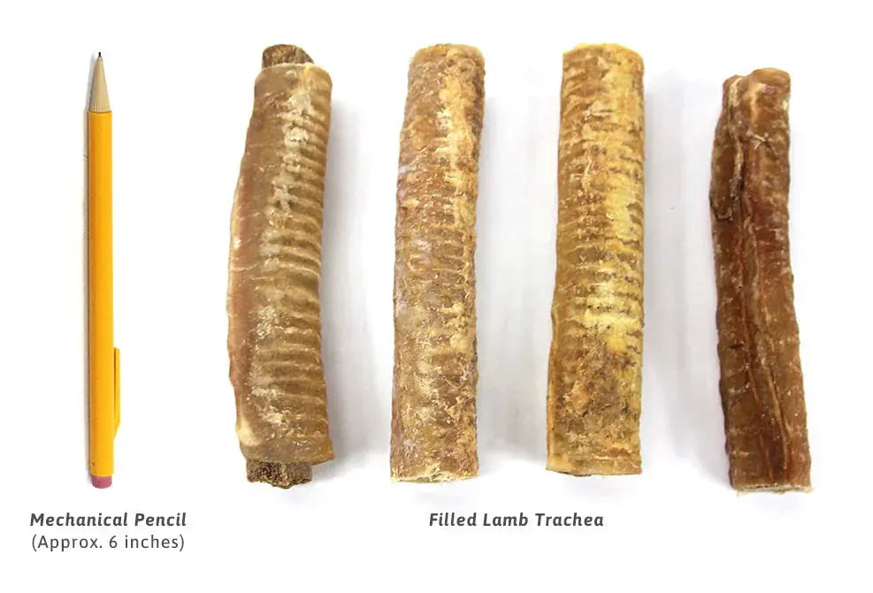 Filled Lamb Trachea
