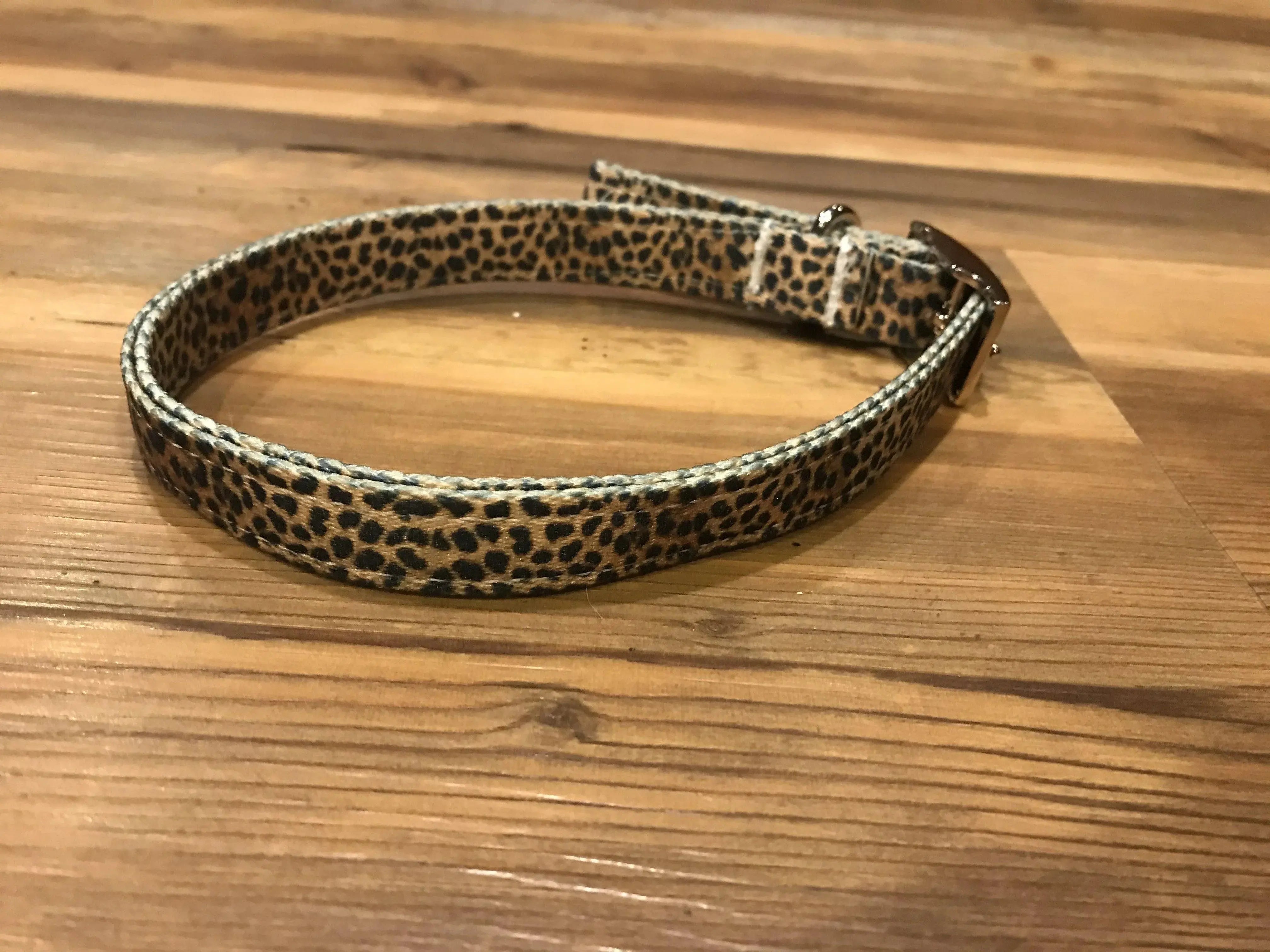 Leopard-print dog collar with metallic buckle from colorful patterns set