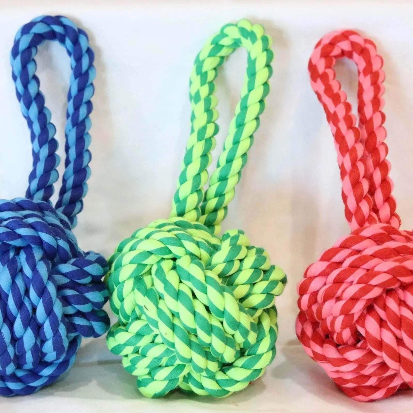 Nuts for Knots Tug Dog Toy Rope Toy Dog