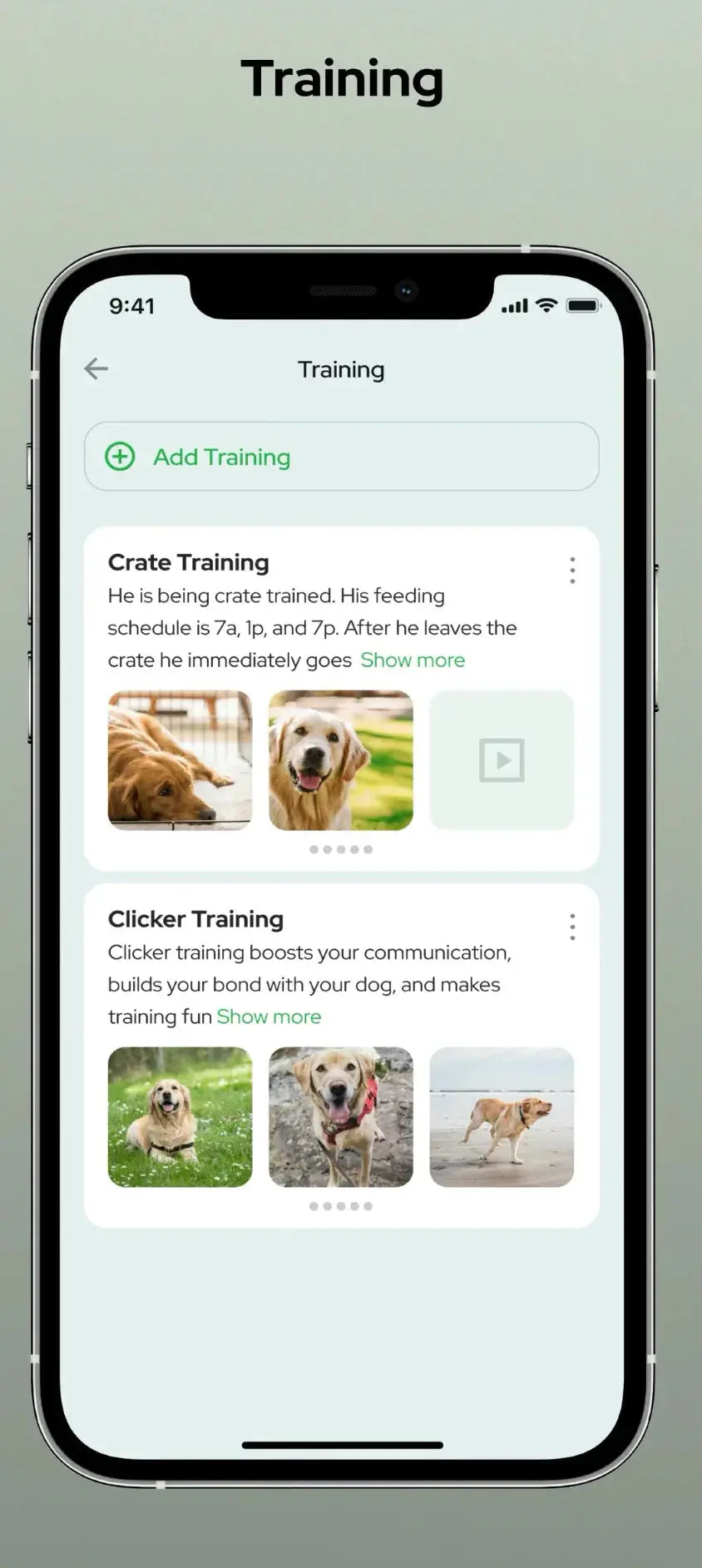 PET ID TAG Global Pet Security QR code Dog