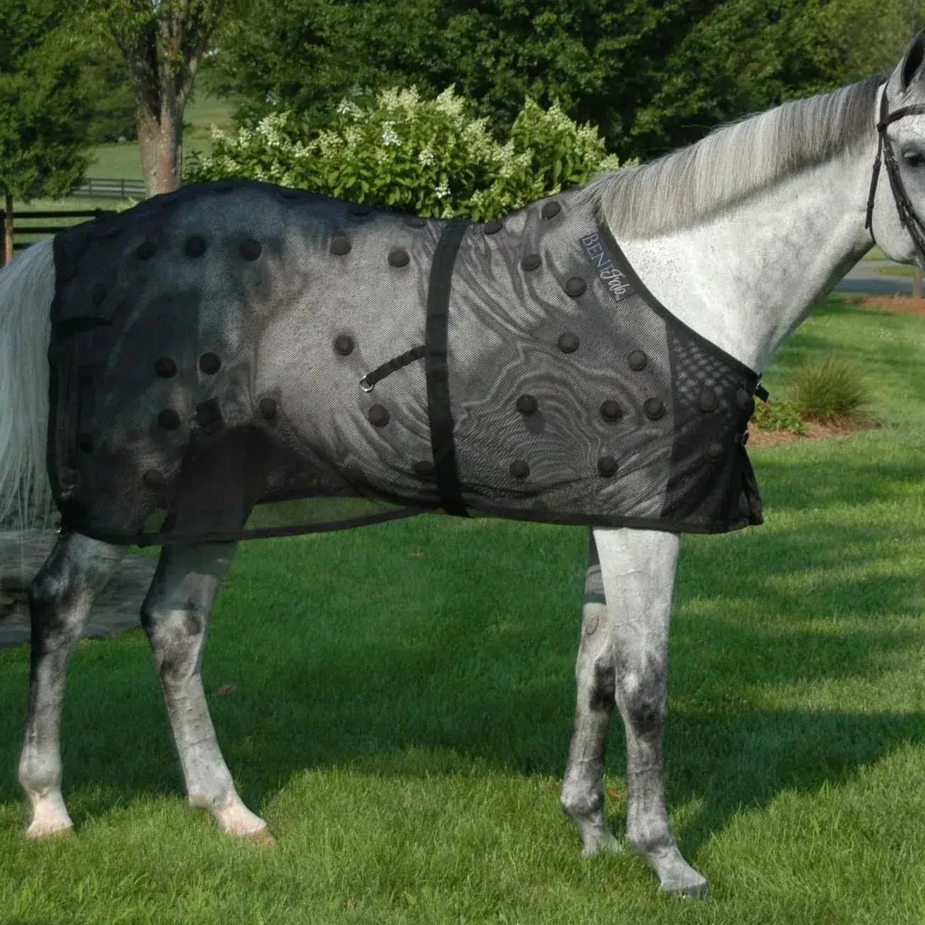 Horse Wearing BeneFab Rejuvenate SmartScrim