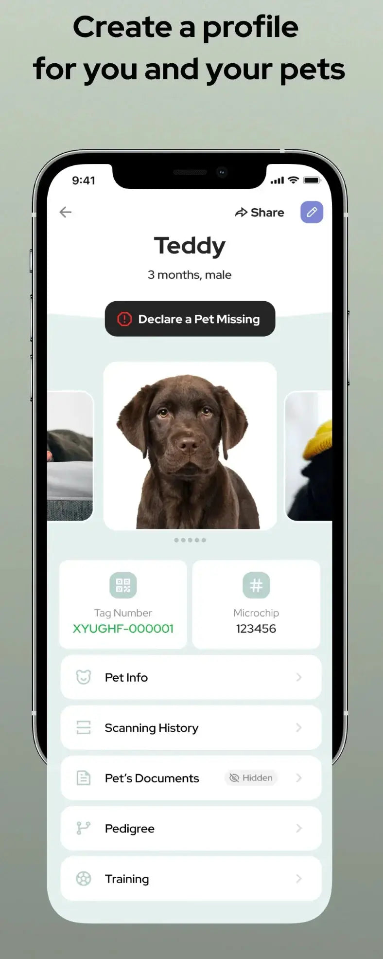 PET ID TAG Global Pet Security QR code Dog