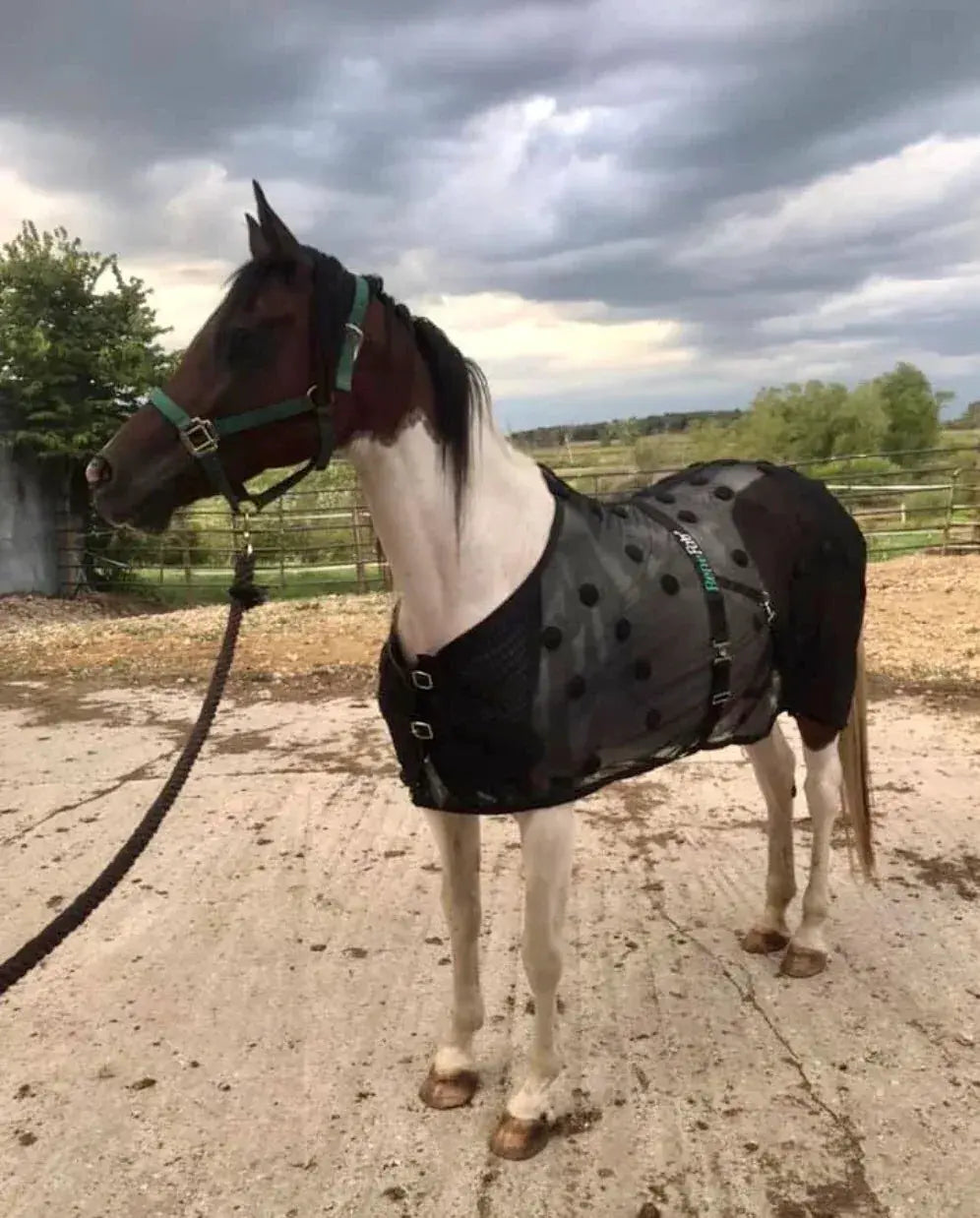 New Mini BeneFab Rejuvenate SmartScrim with black white spotted blanket green straps