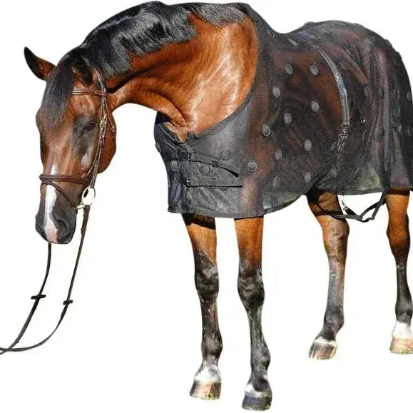 Horse Wearing BeneFab Rejuvenate SmartScrim