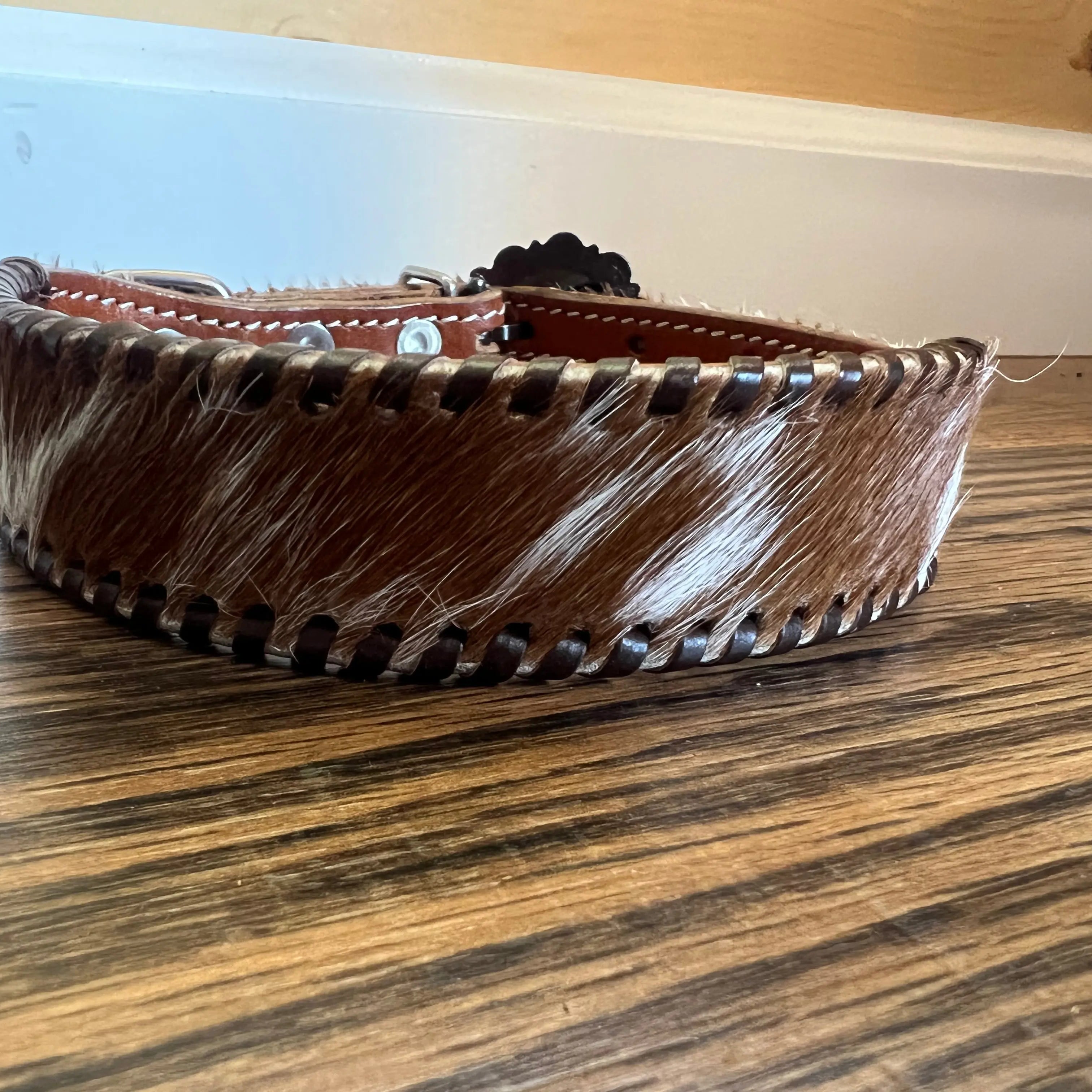 Leather dog collar with hair on cowhide with rawhide lacing Dog