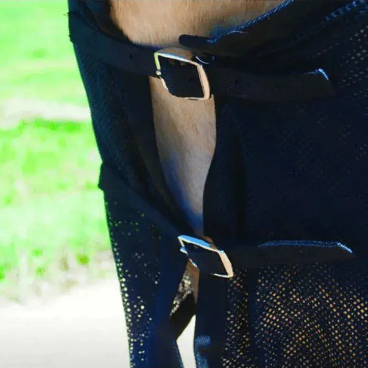 Front closure Horse Wearing BeneFab Rejuvenate SmartScrim