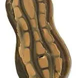 Sodapup Peanut Ultra Durable Nylon Dog Chew Toy for Aggressive Chewers dog chew