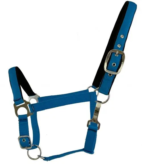 Average Horse size nylon adjustable nose halter in fluorescent colors Horse
