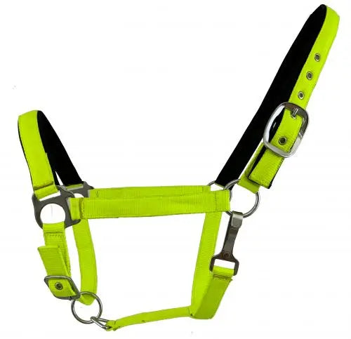 Average Horse size nylon adjustable nose halter in fluorescent colors Horse