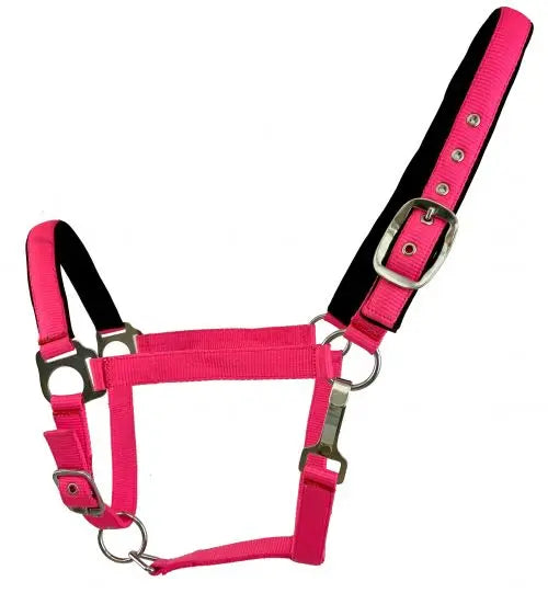 Average Horse size nylon adjustable nose halter in fluorescent colors Horse