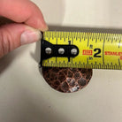 Copper hammered concho with Screw.