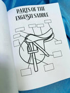 Beginner Rider Lesson Plan Horse