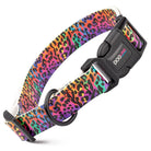 Vibrant rainbow leopard-print Dogline Biothane dog collar with black buckle
