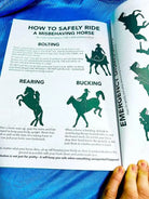 Intermediate Rider Lesson Plan