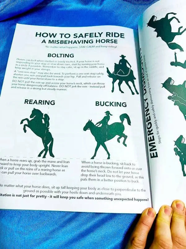 Intermediate Rider Lesson Plan