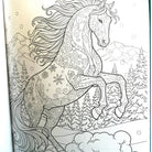 Winter Horses Coloring Book