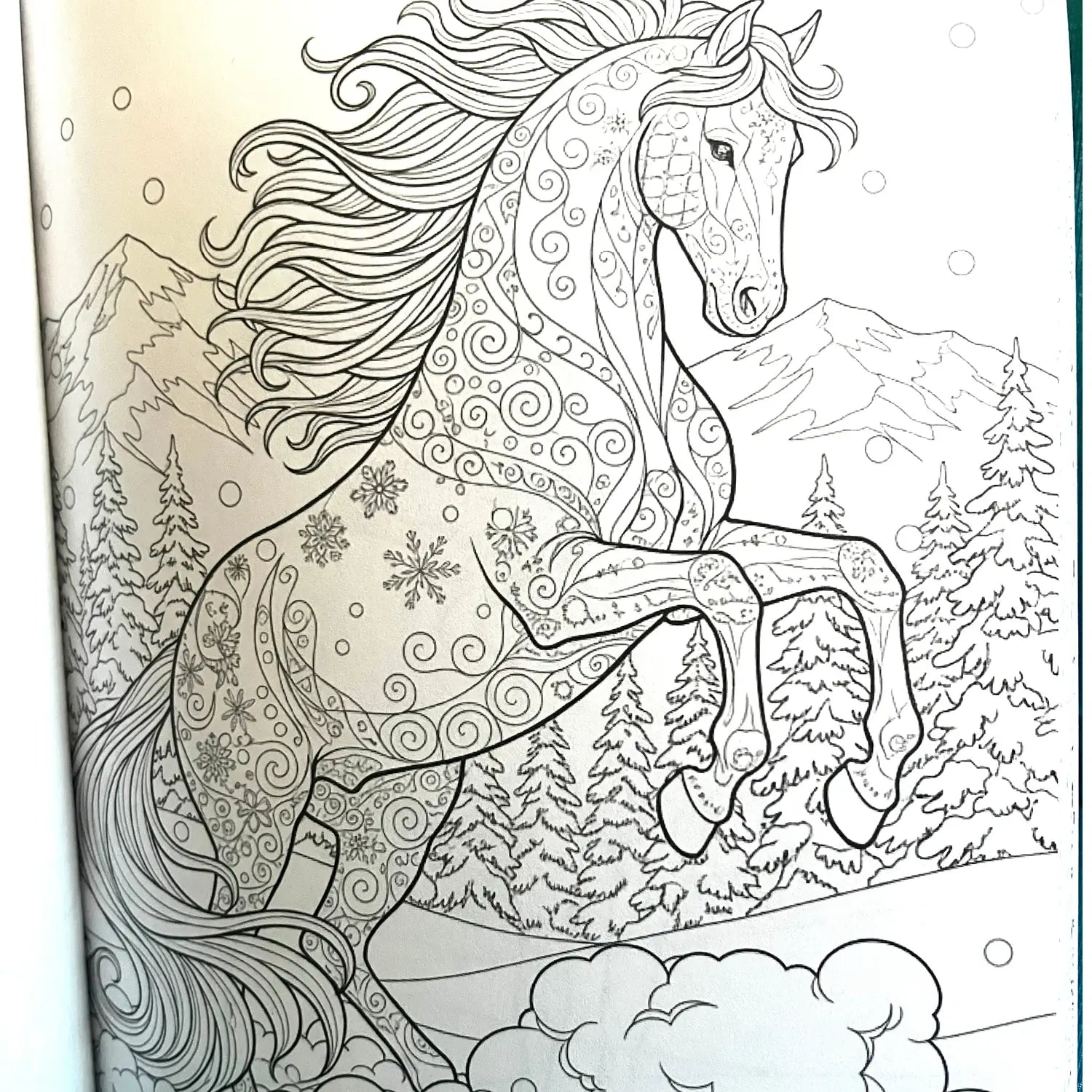 Winter Horses Coloring Book