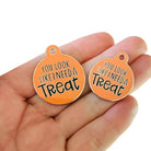 Dog ID Tag or Collar Charm: You Look Like You Need a Treat