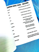 Beginner Rider Lesson Plan Horse