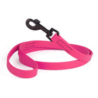 Biothane Waterproof Leash Dog